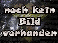 kein Bild vorhanden