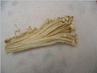 Enoki3