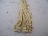 Enoki4