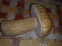 Fichtensteinpilz